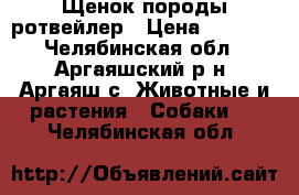 Щенок породы ротвейлер › Цена ­ 5 000 - Челябинская обл., Аргаяшский р-н, Аргаяш с. Животные и растения » Собаки   . Челябинская обл.